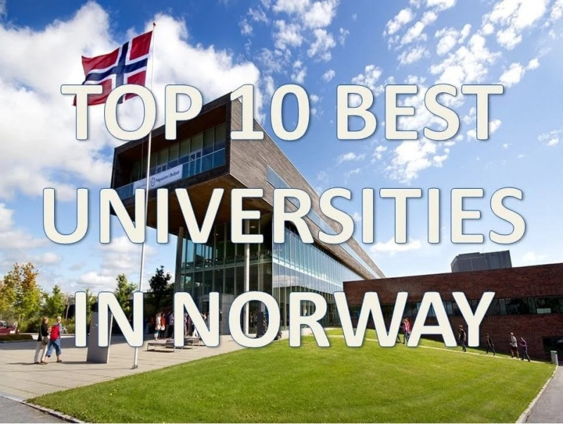 universidades en noruega para maestrías
lista de universidades en noruega
universidad gratis en noruega